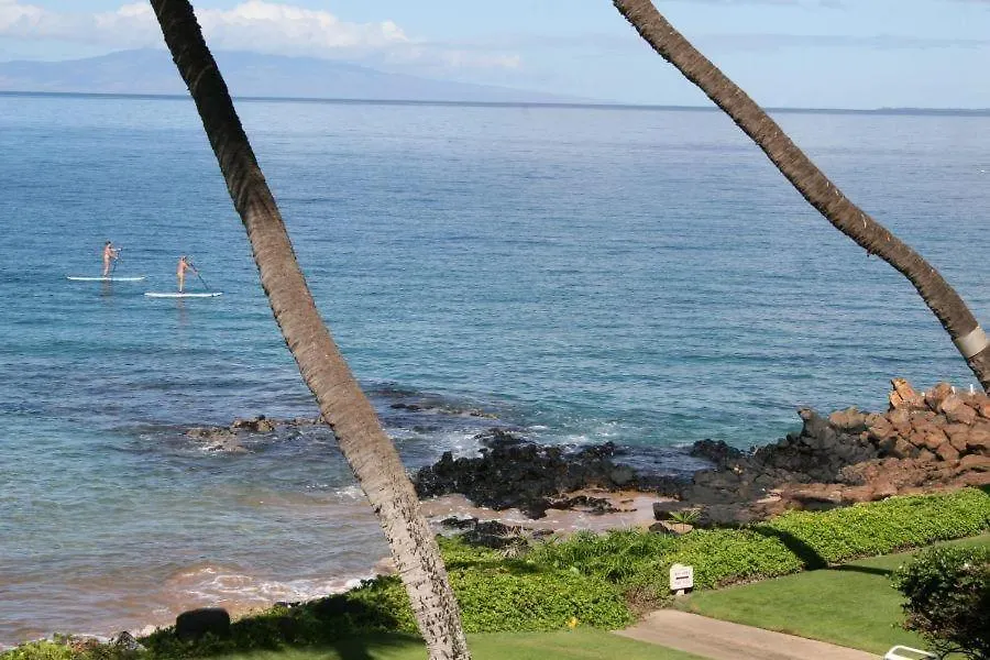 Kamaole Nalu, #604^ Condo キヘイ アパート